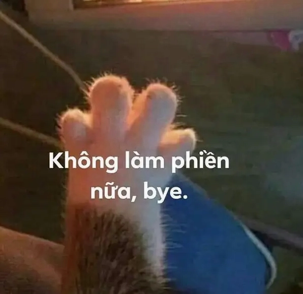 ảnh meme tạm biệt biểu cảm ngơ ngác nhưng siêu hài hước