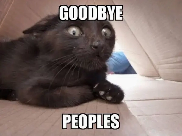 ảnh meme tạm biệt với khuôn mặt vừa hài hước vừa nghiêm túc