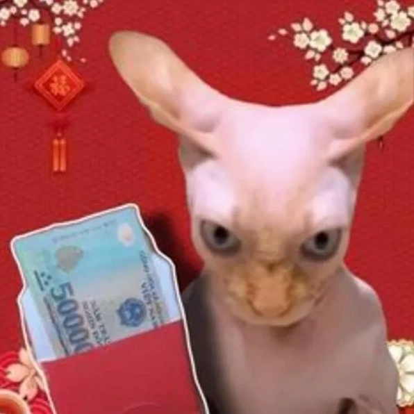 Bộ Sưu Tập Ảnh Meme Tết Hài Hước Độc Đáo Cười Ra Nước Mắt 5 Ảnh meme tết bựa và lầy lội mang đậm chất giải trí