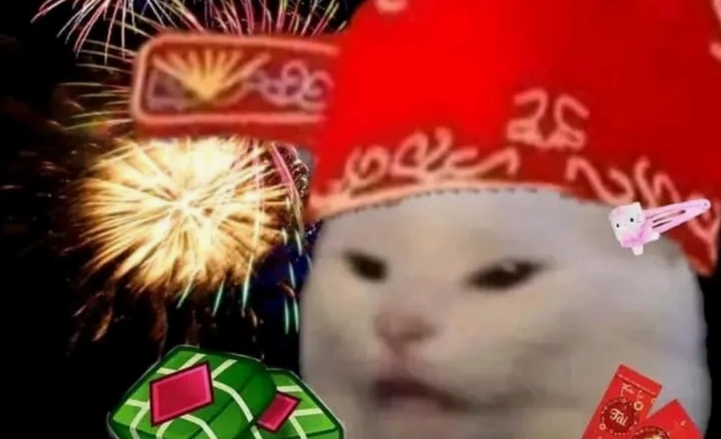 Bộ Sưu Tập Ảnh Meme Tết Hài Hước Độc Đáo Cười Ra Nước Mắt 2 Ảnh meme tết mèo đội mũ ông địa mang lộc lì xì