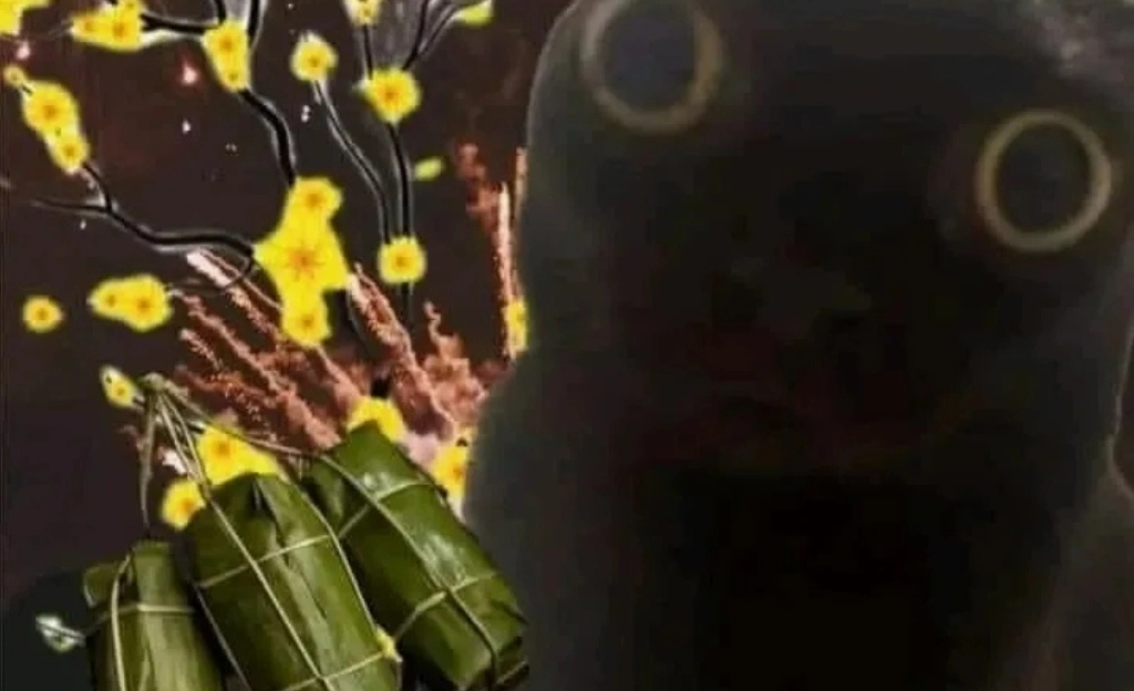 Bộ Sưu Tập Ảnh Meme Tết Hài Hước Độc Đáo Cười Ra Nước Mắt 6 Ảnh meme tết mèo gào thét khi nhận tin dọn nhà