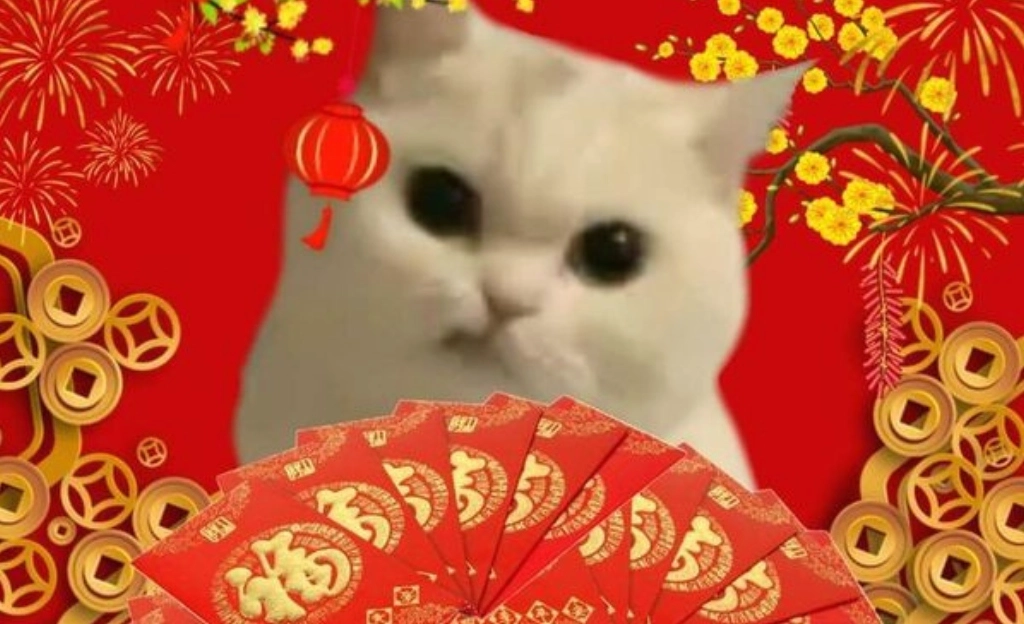 Bộ Sưu Tập Ảnh Meme Tết Hài Hước Độc Đáo Cười Ra Nước Mắt 4 Ảnh meme tết mèo gào thét vì nỗi lo chi tiêu ngày Tết