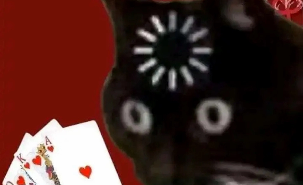 Bộ Sưu Tập Ảnh Meme Tết Hài Hước Độc Đáo Cười Ra Nước Mắt 15 Ảnh meme tết mèo với ánh mắt xáo rỗng sau kỳ nghỉ dài