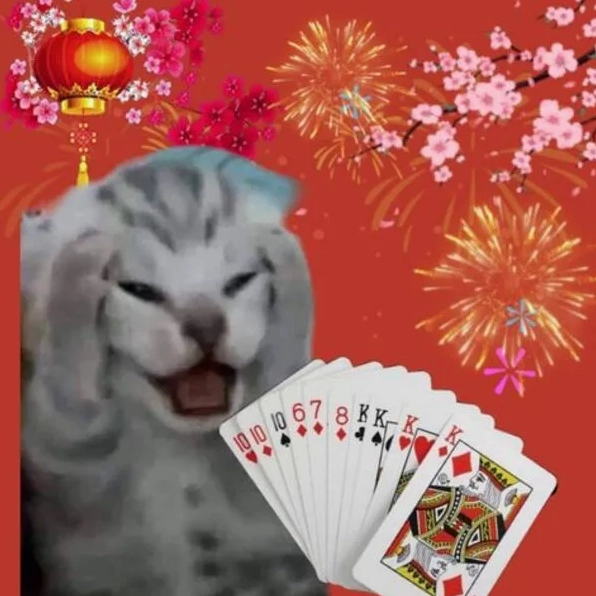 Bộ Sưu Tập Ảnh Meme Tết Hài Hước Độc Đáo Cười Ra Nước Mắt 10 Ảnh meme tết siêu cute với biểu cảm đáng yêu của động vật