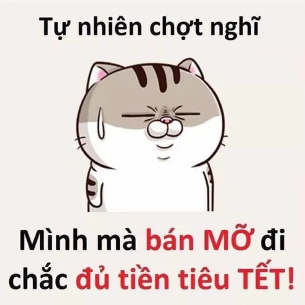 Bộ Sưu Tập Ảnh Meme Tết Hài Hước Độc Đáo Cười Ra Nước Mắt 7 Ảnh meme tết với biểu cảm bá đạo không ai sánh bằng