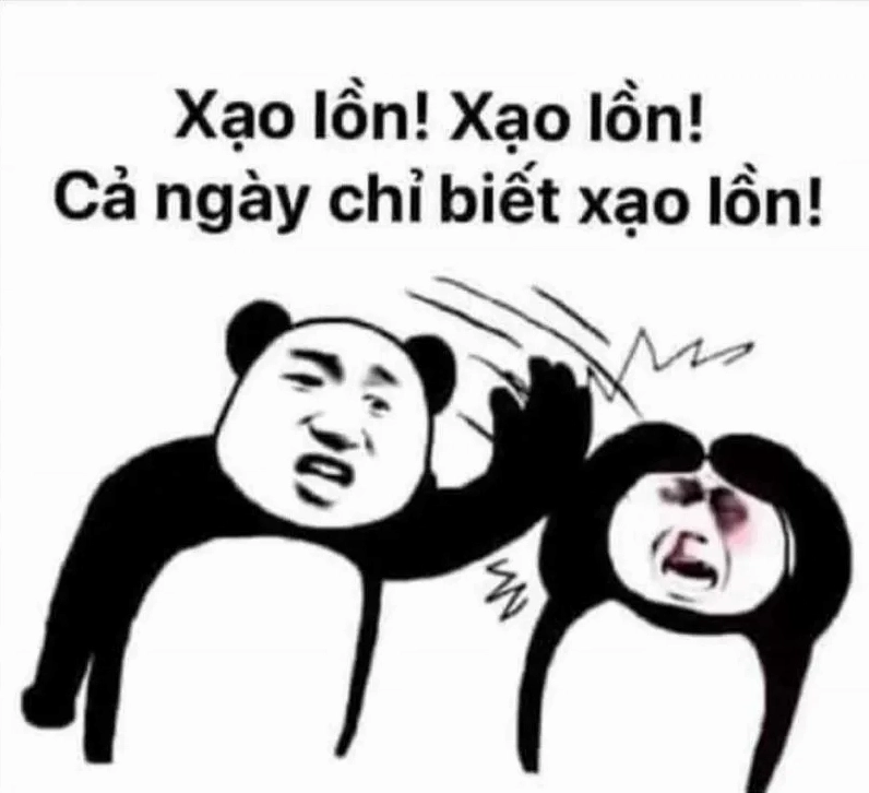 Cận cảnh bộ ảnh meme trung quốc cười rụng rốn của dân mạng Việt 3 ảnh meme trung quốc về gấu trúc đáng yêu