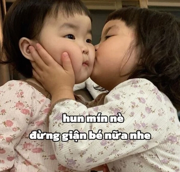Ảnh meme xin lỗi hài hước với biểu cảm 