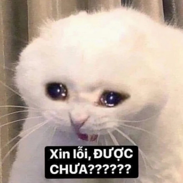 Ảnh meme xin lỗi với biểu cảm 