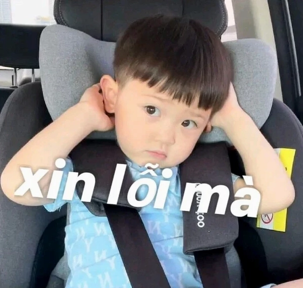 Ảnh meme xin lỗi với hình ảnh đứa bé đáng yêu đang chắp tay