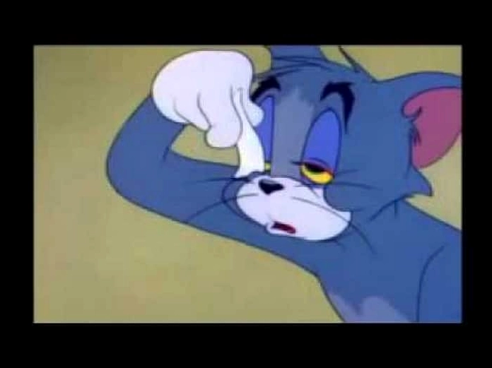 Ảnh mèo buồn ngủ với đôi mắt lim dim