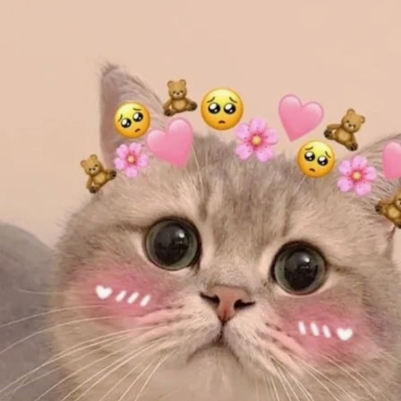 Bộ Sưu Tập Cười Té Ghế với Ảnh Mèo Meme Cười Ngả Nghiêng Phê Pha 10 Ảnh mèo meme cười té ghế với khoảnh khắc tự nhiên