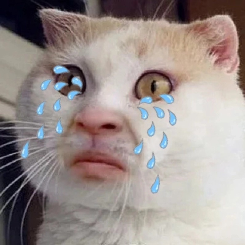 Ảnh mèo meme khóc cực chill