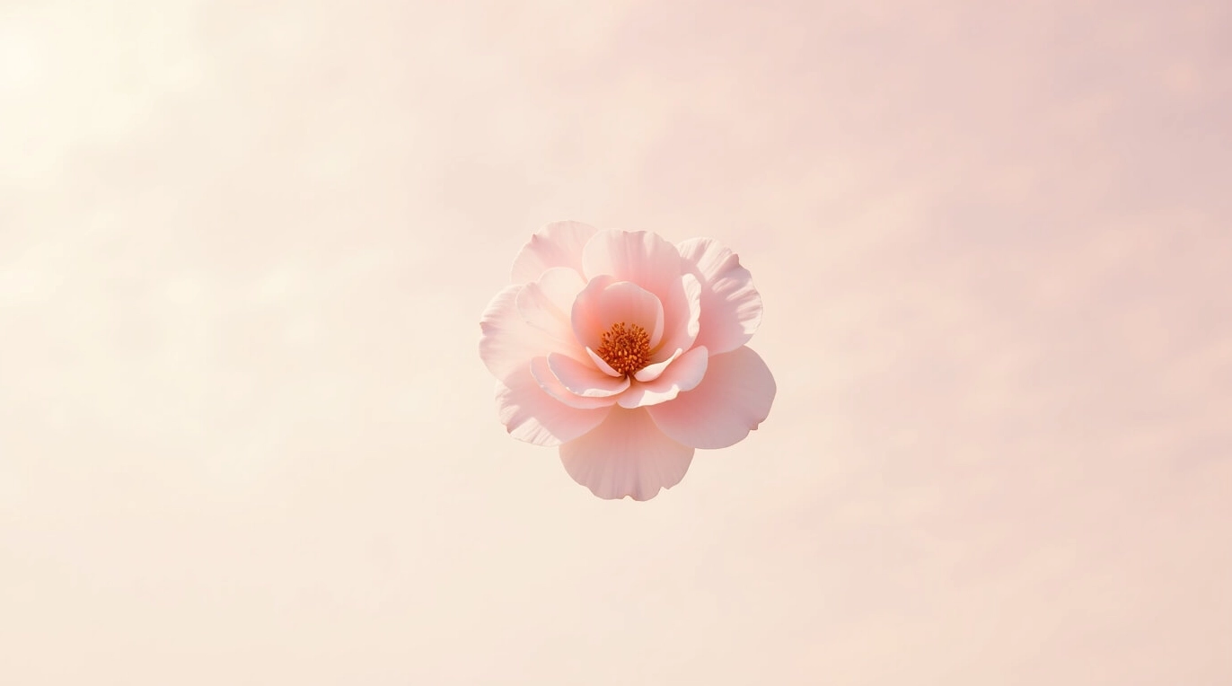 Bộ Sưu Tập Ảnh Nền Gái Xinh 4K Tuyệt Đẹp Mới Nhất Dành Cho Bạn 1 ảnh nền gái xinh 4k với sắc hồng hoa anh đào dịu dàng