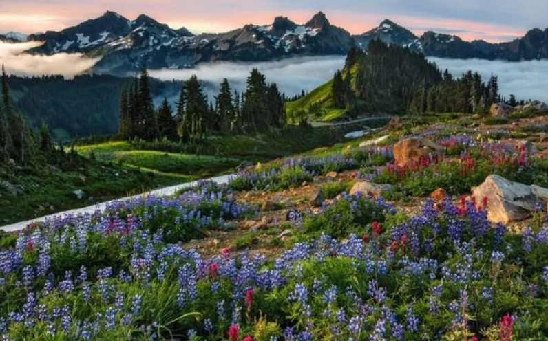 Ảnh nền macbook lãng mạn với tông màu ấm áp