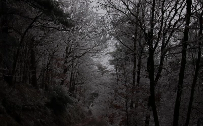 Ảnh những hình ảnh cô gái buồn đẹp nhất được phản chiếu qua phong cảnh đen trắng