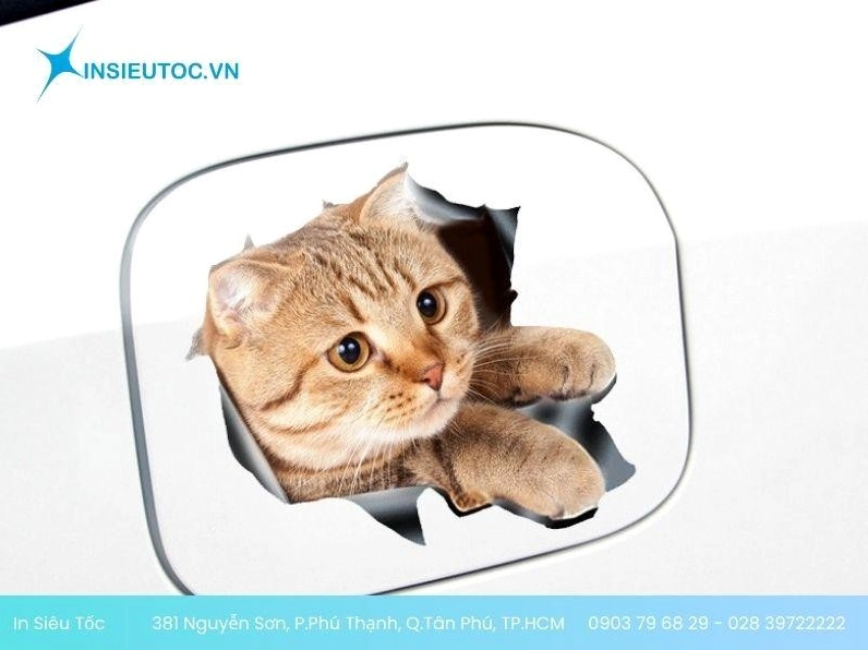 ảnh sticker meme mèo 3D dán ô tô ngộ nghĩnh