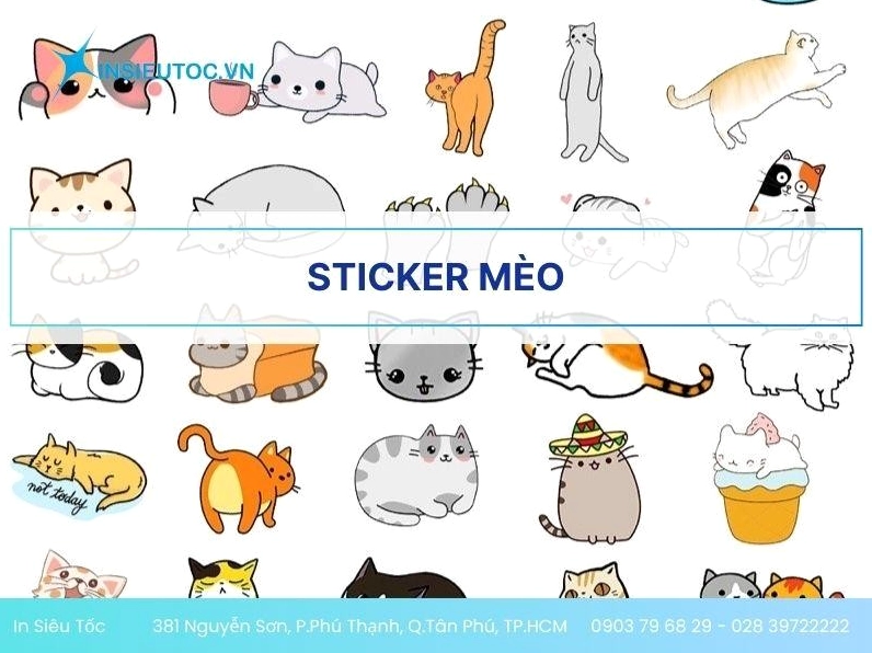 ảnh sticker meme mèo đang được ưa chuộng với vẻ mặt hài hước