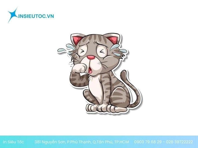 ảnh sticker meme mèo đáng yêu và ngộ nghĩnh