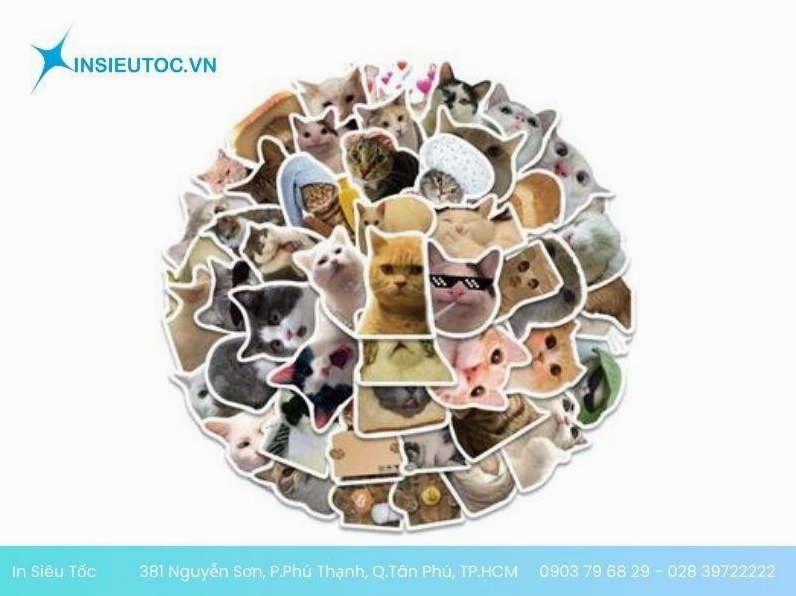 ảnh sticker meme mèo nổi tiếng trên mạng xã hội