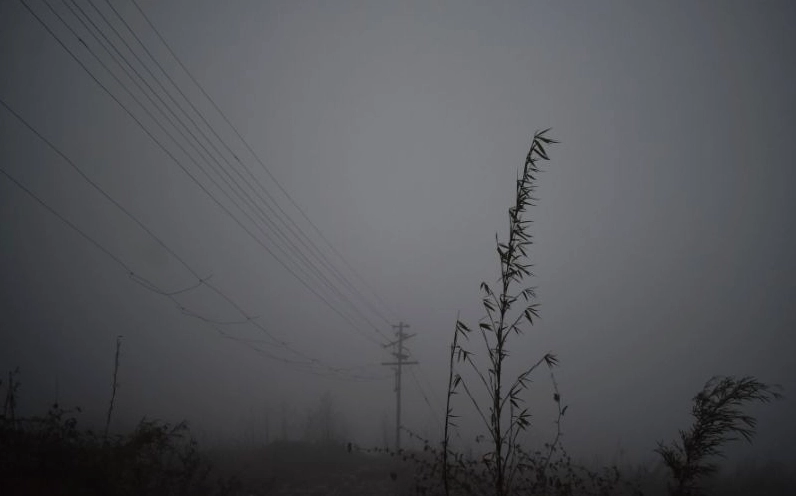 Ảnh thiên nhiên buồn đến trầm cảm gợi cảm xúc sâu sắc