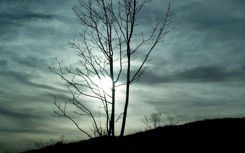 Ảnh thiên nhiên buồn man mác tâm trạng, như chính lòng cô gái