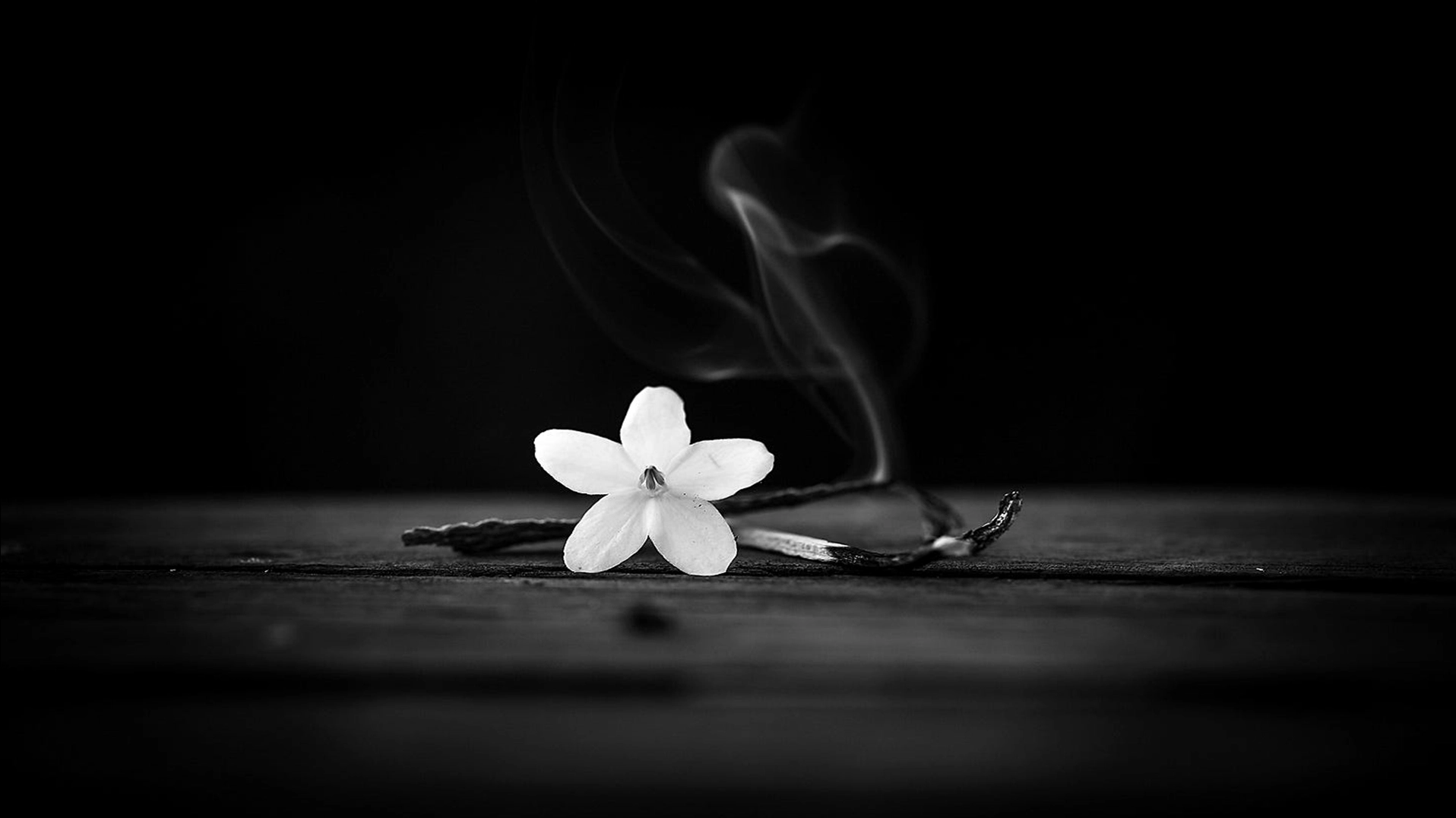 Bộ sưu tập cận cảnh tải hình nền đen tang lễ trang trọng và ý nghĩa 7 Avatar đen tang quyến cho những ai muốn thể hiện sự thương tiếc trên mạng xã hội