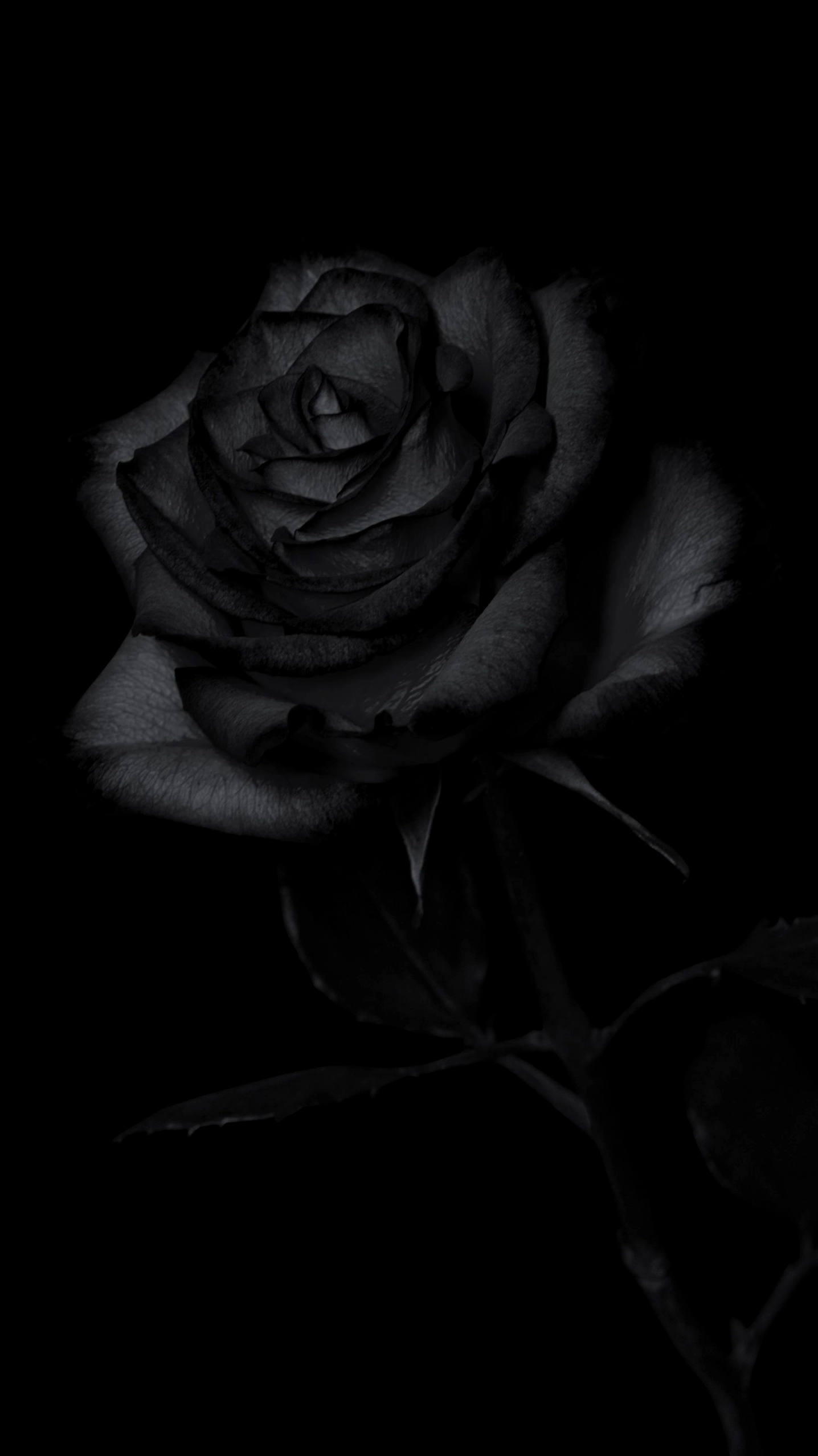 Bộ sưu tập cận cảnh tải hình nền đen tang lễ trang trọng và ý nghĩa 6 Avatar đen tang quyến đầy ý nghĩa để thể hiện nỗi buồn và sự tưởng nhớ