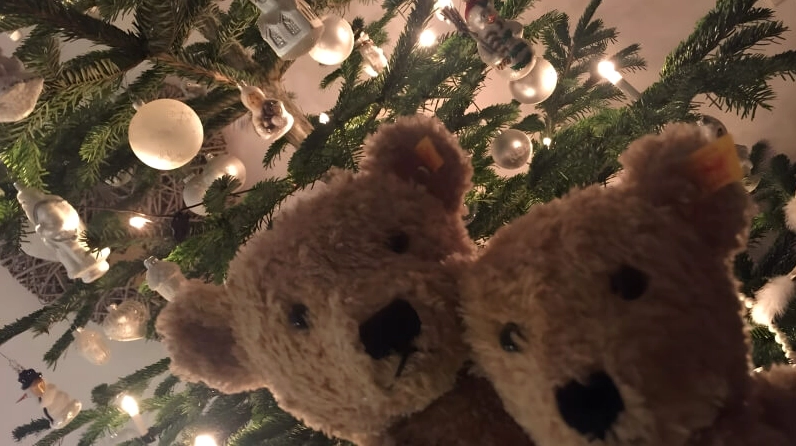 Bộ hình Giáng sinh cute với phong cách vẽ minh họa hiện đại