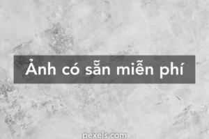 bo suu tap 15 hinh nen mau xam cuc chat cho moi thiet bi cua 978