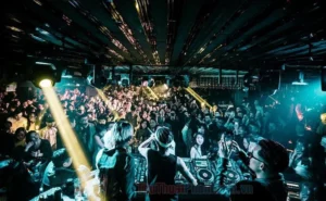 bo suu tap anh gai xinh nhay bar dot chay moi anh nhin dem 245