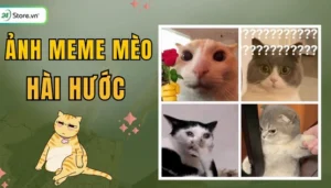 bo suu tap anh hinh nen meme hai huoc va doc dao cho man hin 567