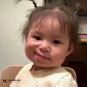 bo suu tap anh meme meo khinh bi dinh cao va hai huoc nhat 725