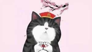 bo suu tap anh meme tet hai huoc doc dao cuoi ra nuoc mat 198