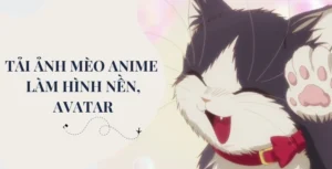 bo suu tap can canh anh meme con meo va co gai don tim cu da 822