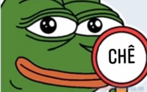 bo suu tap can canh doc dao va ngau doi cua anh meme bua 849