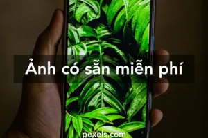 bo suu tap can canh hinh nen don gian thu hut moi anh nhin 825