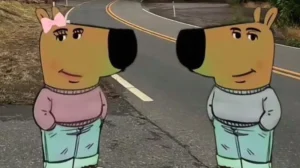 bo suu tap hinh anh chill guy doc dao va nang dong 138