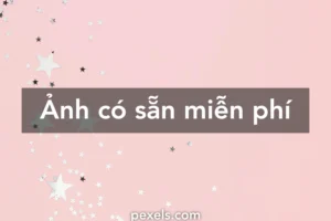 bo suu tap hinh nen mau hong dep nhat man nhan moi goc nhin 682