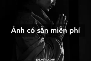 bo suu tap hinh nen tinh tam va an nhien cho moi goc nhin 203