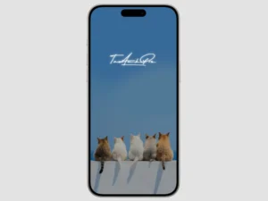 can canh 18 hinh nen chu doc dao va y nghia cho moi thiet bi 833