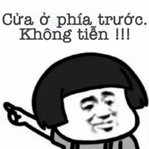 can canh bo anh meme trung quoc cuoi rung ron cua dan mang v 917