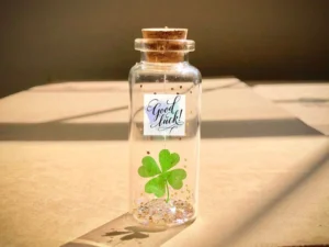 can canh bo suu tap anh gai xinh to tron va ve dep quyen ru 758