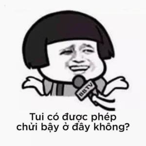 can canh bo suu tap anh meme chui hai huoc va dinh cao thai 699