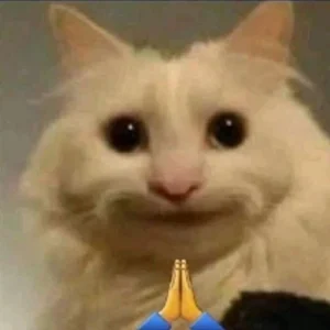 can canh bo suu tap anh meme meo khoc sieu hai huoc va doc d 293