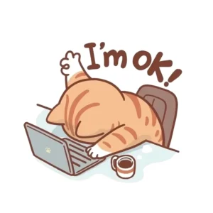 can canh bo suu tap anh ok meme bieu cam hai huoc tuyet dinh 185