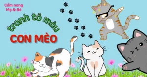 can canh bo suu tap anh ve meo meme cuoi ra nuoc mat 342