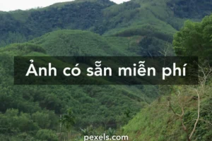 can canh bo suu tap hinh nen dep thien nhien hung vi va tho 282