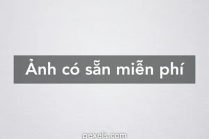 can canh bo suu tap hinh nen tron dep mat va tinh te 754