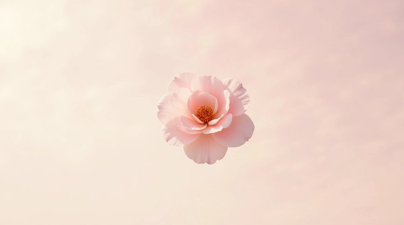 Cận cảnh hình nền facebook hoa anh đào hồng rực rỡ