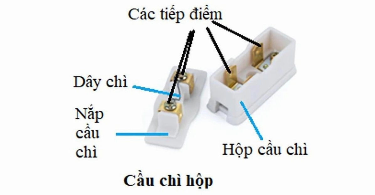 Cấu tạo chi tiết của cầu chì